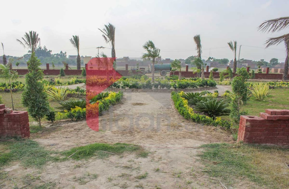 10 Marla Plot for Sale in Arabian Homes & Farms, Bhaini Road, Lahore