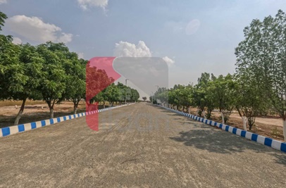 120 Sq.yd Plot for Sale in Gulshan E Ayesha, Gadap Town, Karachi