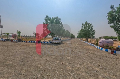 200 Sq.yd Plot for Sale in Gulshan E Ayesha, Gadap Town, Karachi