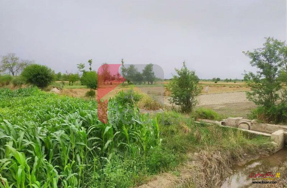 1000 Kanal Agricultural Land for Sale on Satiana Road, Faisalabad