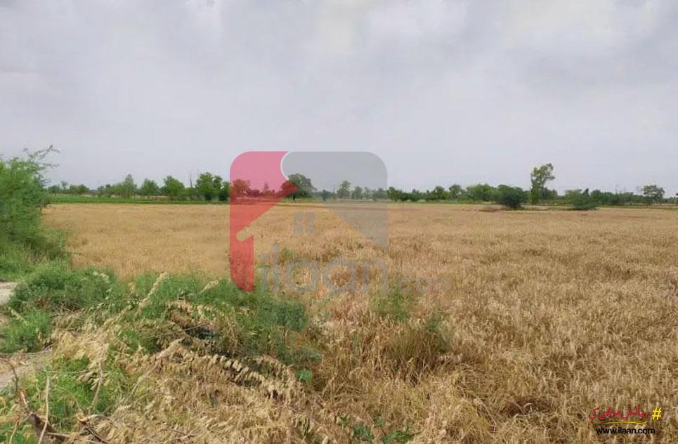 800 Kanal Agricultural Land for Sale on Satiana Road, Faisalabad 