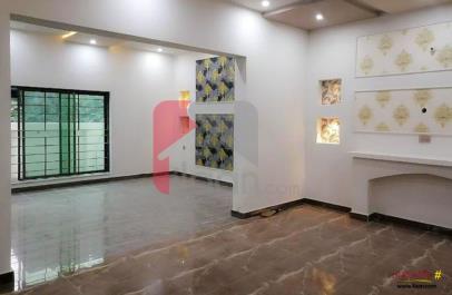 5 Marla House for Rent in Wapda City, Faisalabad