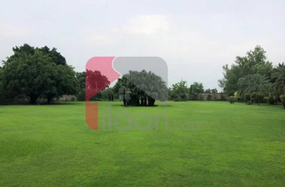 48 Kanal Farm House for Sale on Bedian Road, Lahore