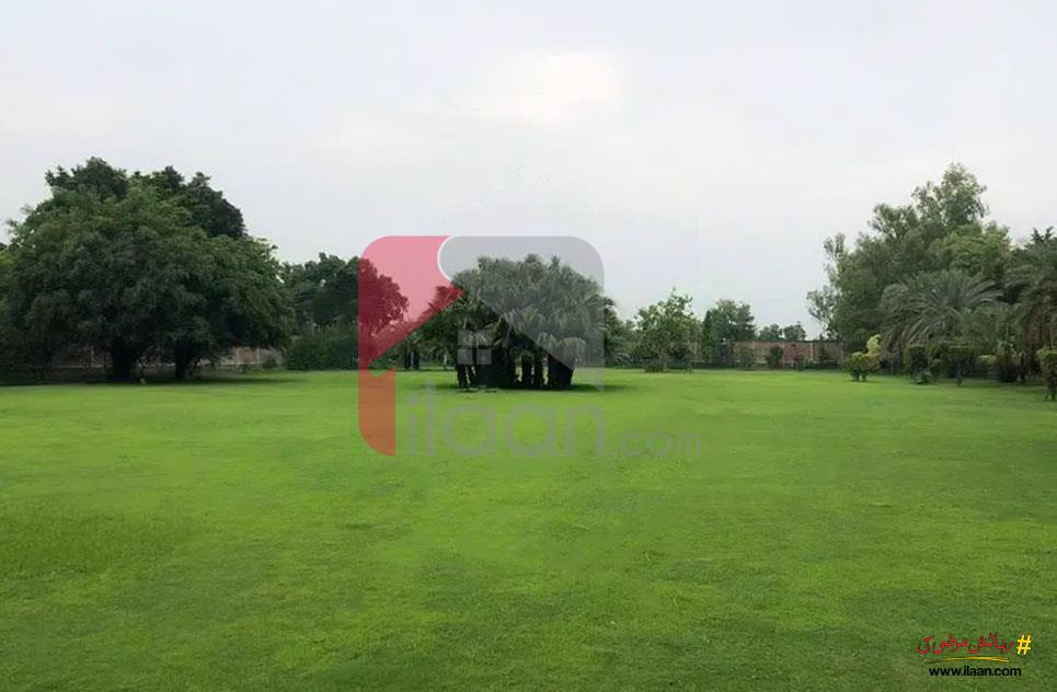 49 Kanal Farm House for Sale on Bedian Road, Lahore