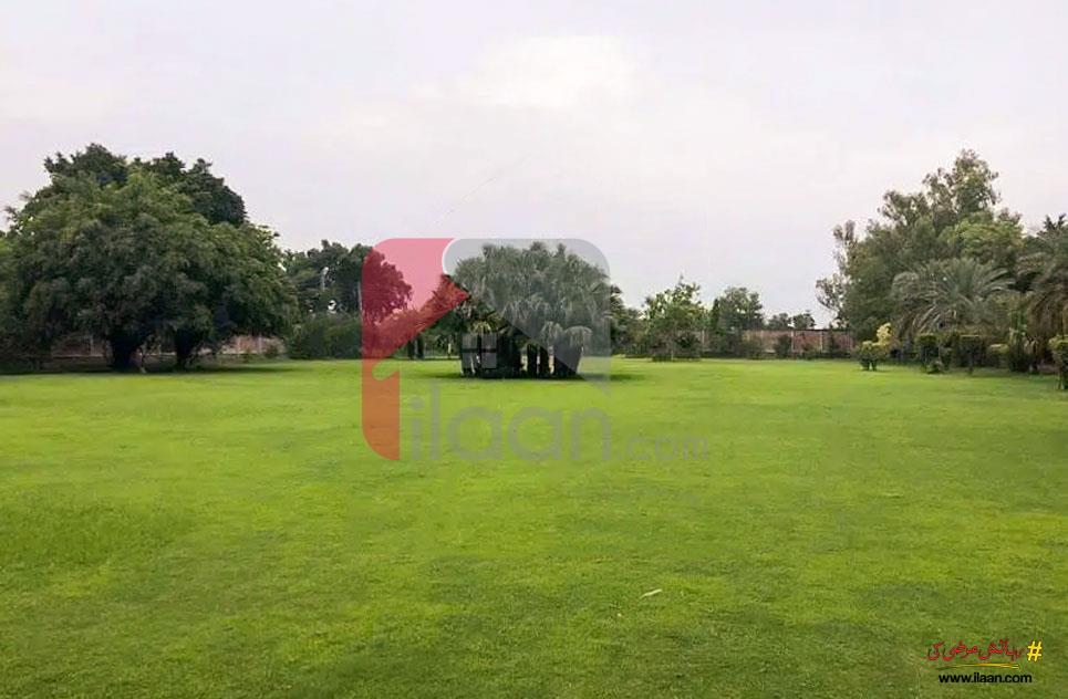 16 Kanal Agicultural Land for Sale on Bedian Road, Lahore