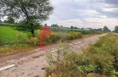 1 Kanal Agicultural Land for Sale on Bedian Road, Lahore