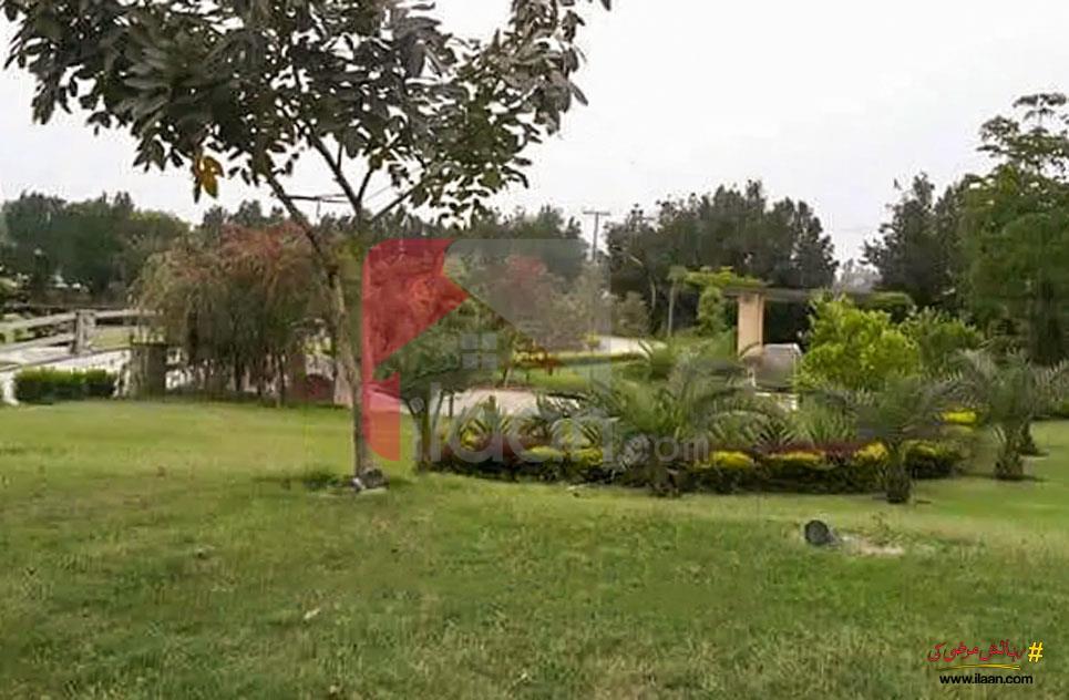 240 Kanal Agicultural Land for Sale on Bedian Road, Lahore