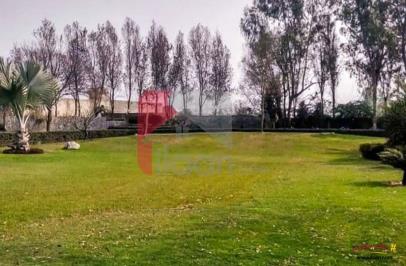 160 Kanal Agicultural Land for Sale on Bedian Road, Lahore