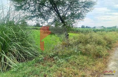 4 Kanal Agicultural Land for Sale on Bedian Road, Lahore