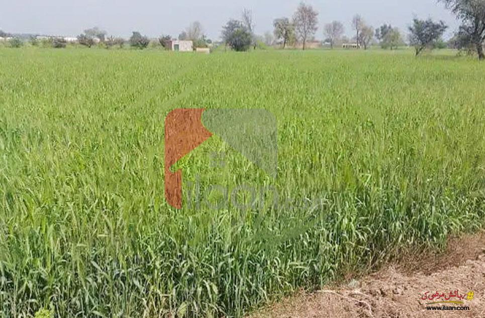28 Kanal Agicultural Land for Sale on Bedian Road, Lahore
