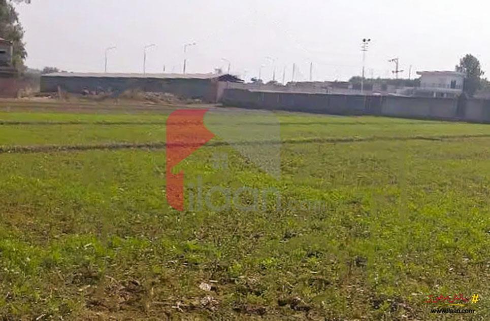 8 Kanal Agicultural Land for Sale on Bedian Road, Lahore