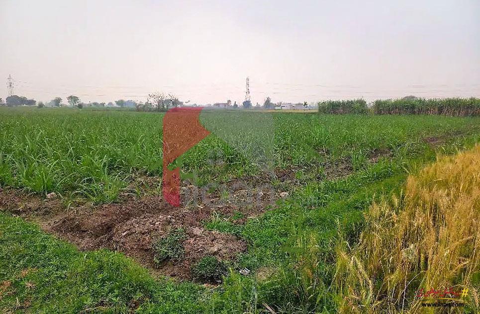4.5 Kanal Agicultural Land for Sale on Sue-e-Asal Road, Lahore
