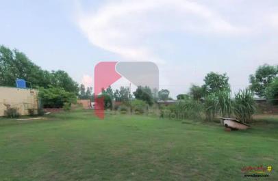6 Kanal 12 Marla Farmhouse for Sale on Bedian Road, Lahore