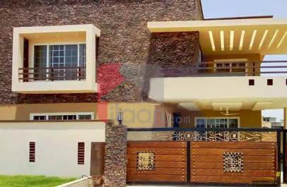 11 Marla House for Rent in Eden Valley, Faisalabad