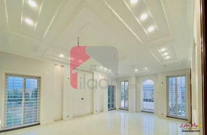 1 Kanal House for Rent in Phase 2, Wapda Town, Multan