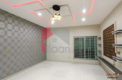 10 Marla House for Rent (Ground Floor) in Phase 1, Wapda Town, Multan