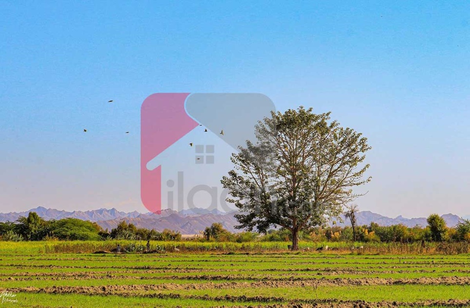 1 Kanal Plot for Sale in Phase 4, New Town, Gwadar