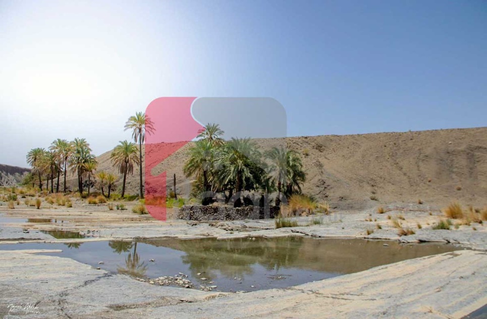 80 Kanal Industrial Land for Sale in Mouza Ziarat Machhi Gharbi, Gwadar