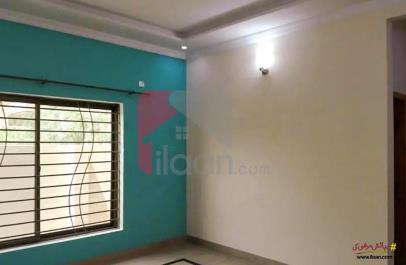 10 Marla House for Rent (Ground Floor) PWD Housing Scheme, Islamabad