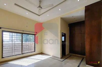 1 Kanal House for Rent in Phase 8, Bahria Town, Rawalpindi