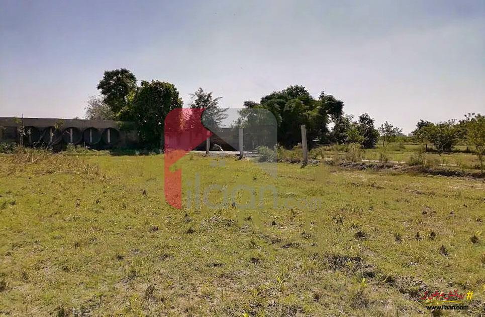 1 Kanal 6 Marla Commercial Plot for Sale in Khurrianwala, Faisalabad