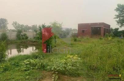 5 Kanal 4 Marla Farmhouse for Sale on Bedian Road, Lahore