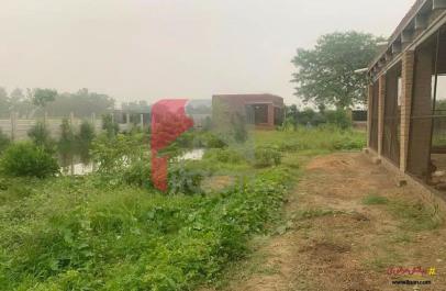 5 Kanal 4 Marla Farmhouse for Sale on Bedian Road, Lahore