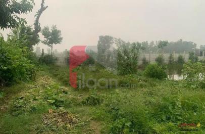 5 Kanal 4 Marla Farmhouse for Sale on Bedian Road, Lahore