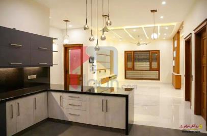 500 Sq.yd House for Rent (Ground Floor) in Phase 6, DHA Karachi