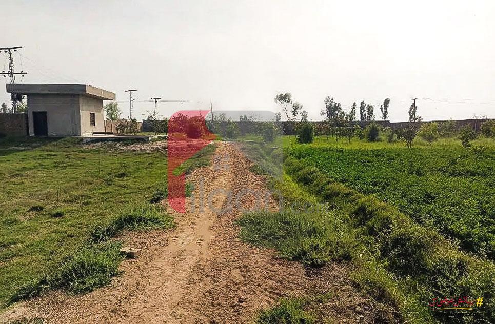130 Kanal Industrail Land for Sale in Kot Radha Kishan, Kasur