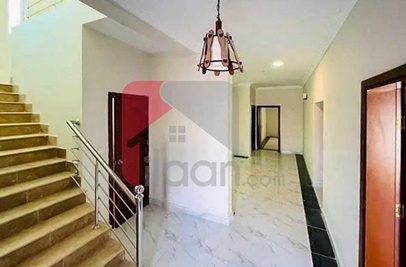 350 Sq.yd House for Rent in Falcon Complex New Malir, Karachi