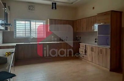 1 Kanal House for Rent (Ground Floor) in E-11/3, E-11, Islamabad