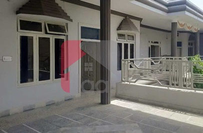 12 Marla House for Sale in Qasim Town, Bahawalpur