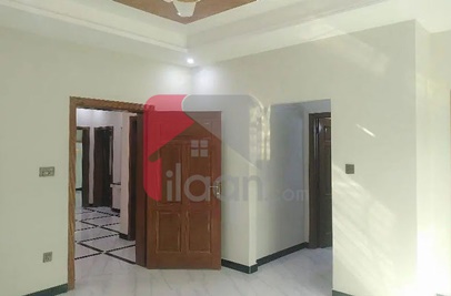 12.4 Marla House for Rent (Ground Floor) in I-8/4, I-8, Islamabad