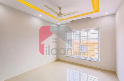 7 Marla House for Rent in Safari Valley, Phase 8, Bahria Town, Rawalpindi