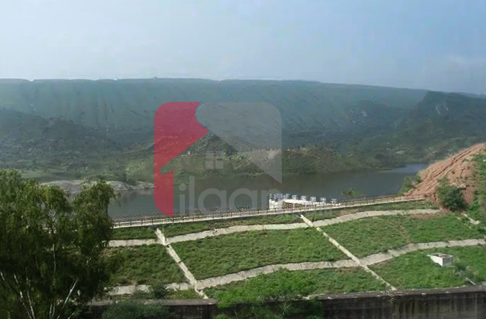 280 Kanal Agricultural Land for Sale in Balkasar, Chakwal