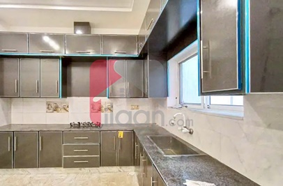 7 Marla House for Rent in Model City 1, Faisalabad 