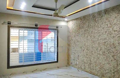 12 Marla House for Rent (Ground Floor) in I-8/2, I-8, Islamabad