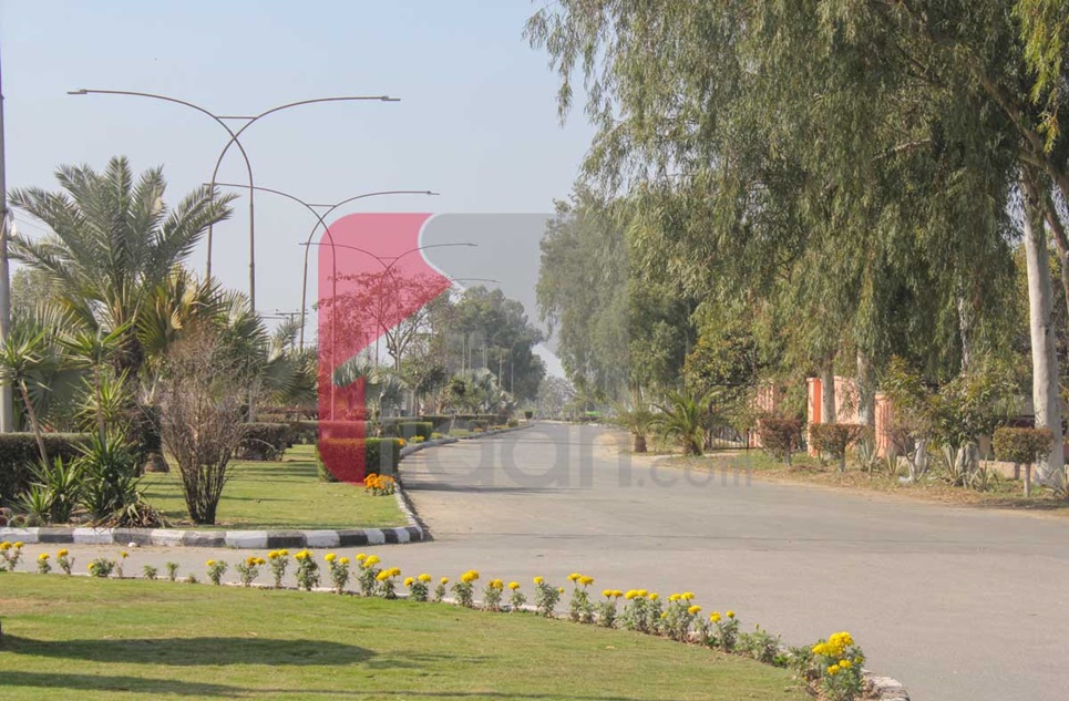 1 Kanal Plot for Sale in Shaheen Block, Chinar Bagh, Lahore