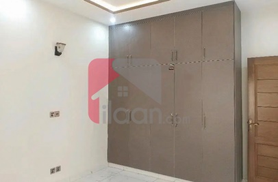 14.2 Marla House for Rent in I-10/4, I-10, Islamabad