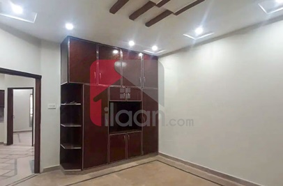 1 Kanal Building for Rent in Phase 1, Wapda Town, Lahore