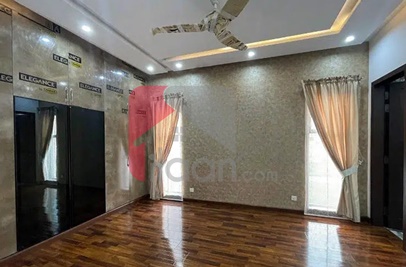 5 Marla House for Rent in Phase 3, DHA Lahore