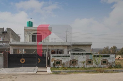 1 Kanal House for Sale in Chinar Bagh, Lahore