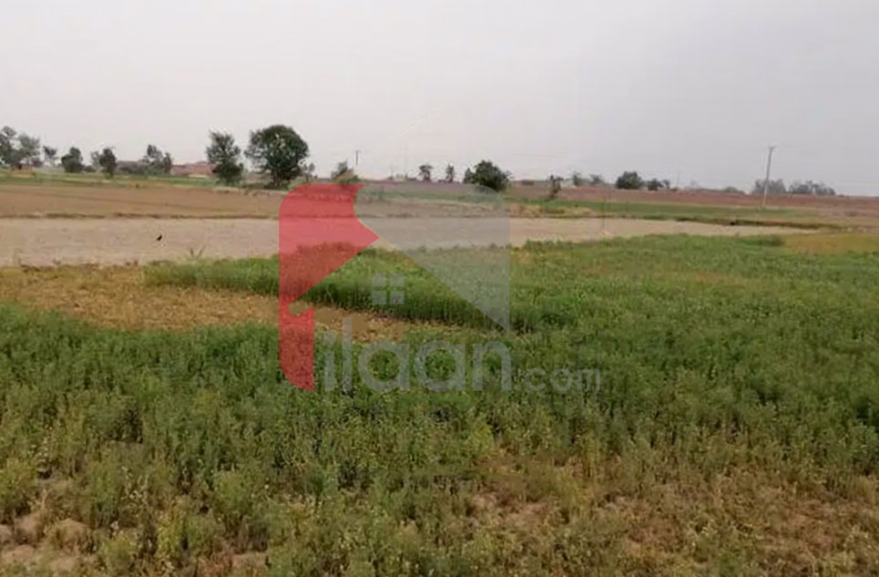 13 Kanal Agricultural Land for Sale on Jaranwala Road, Faisalabad 