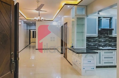 300 Sq.yd House for Rent (Ground Floor) in PECHS, Karachi