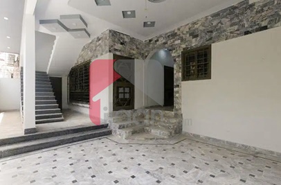 240 Sq.yd House for Rent (Ground Floor) in Gulshan-e-iqbal, Karachi