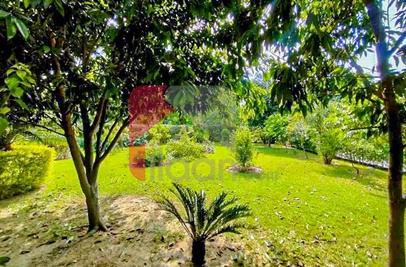 3.6 Kanal House for Sale in F-8, Islamabad