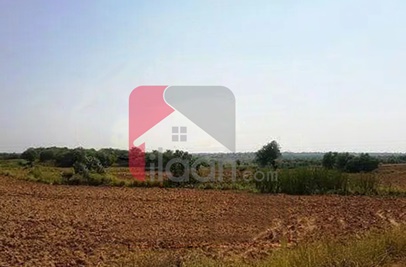7 Kanal Agricultural Land for Sale on Bedian Road, Lahore