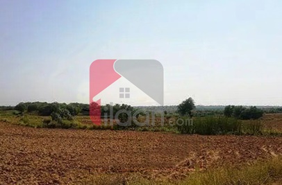 56 Kanal Agricultural Land for Sale on Manga-Raiwind Road, Lahore
