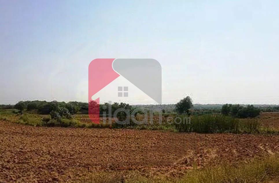56 Kanal Agricultural Land for Sale on Manga-Raiwind Road, Lahore